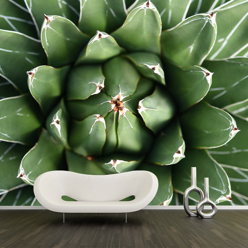 Aloe Green Plant Wall Mural Environment Friendly for Study Room Home Decor