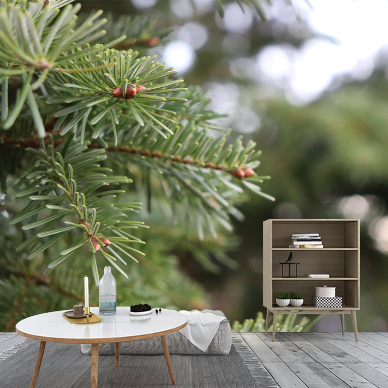 Photography Plant Mural Wallpaper Pine Leaves for Reading Room Bedroom Home Decor