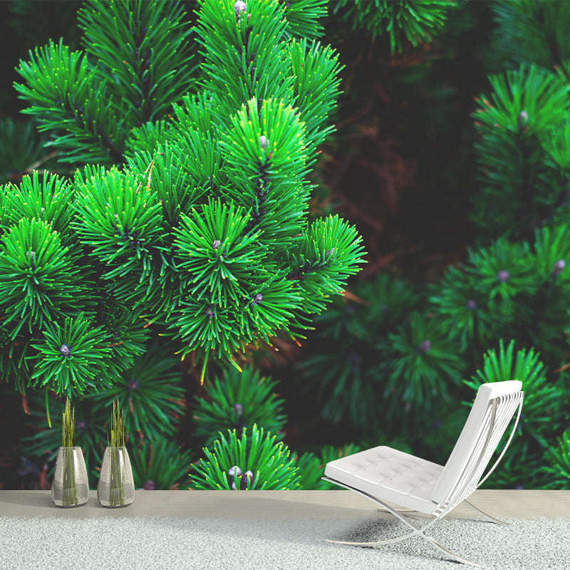 Photography Plant Mural Wallpaper Pine Leaves for Reading Room Bedroom Home Decor