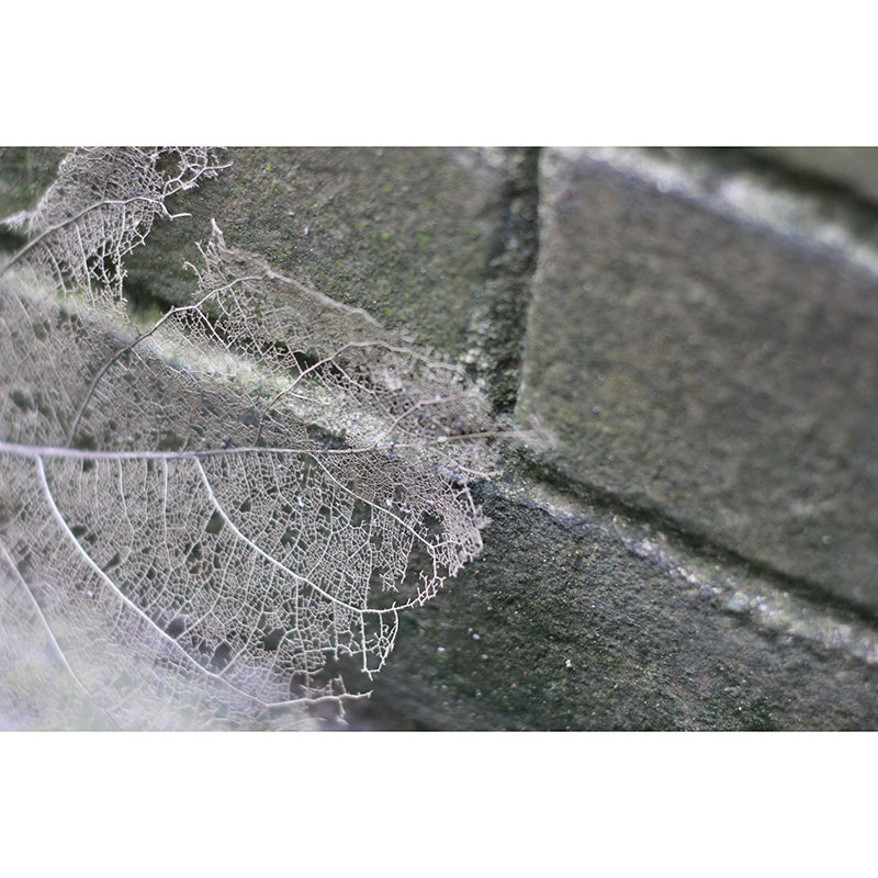 Customized Leaf Surface Plant Murals Wall for Living Room Moisture Resistant