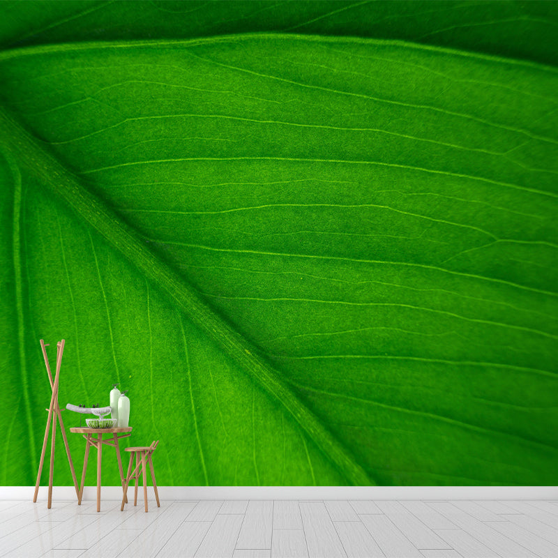 Green Plant Wall Mural with Leaf Surface Pattern for Living Room Home Decor