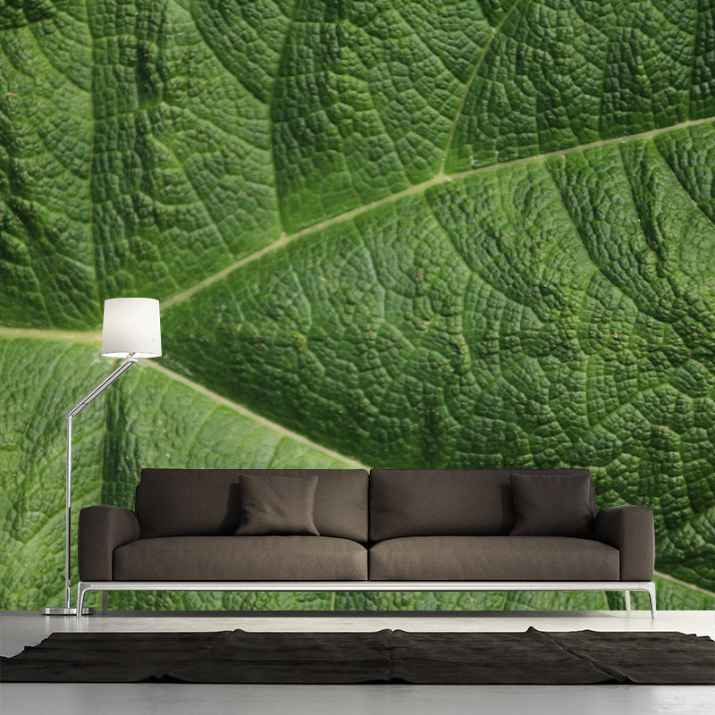 Customized Leaf Surface Plant Murals Wall for Reading Room Moisture Resistant
