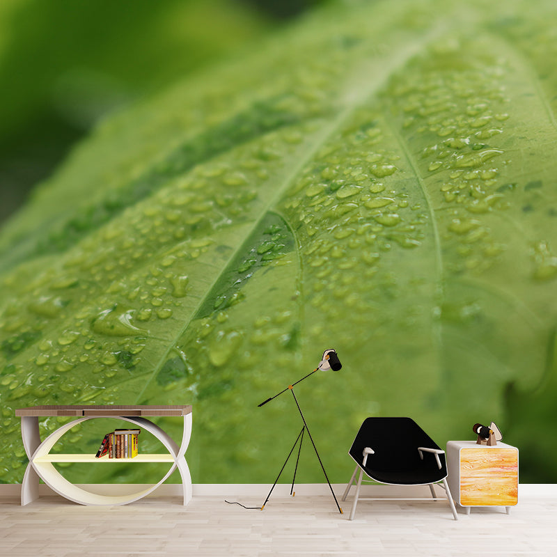 Plant Mural Wallpaper Leaf Surface Pattern for Reading Room Bedroom Decor