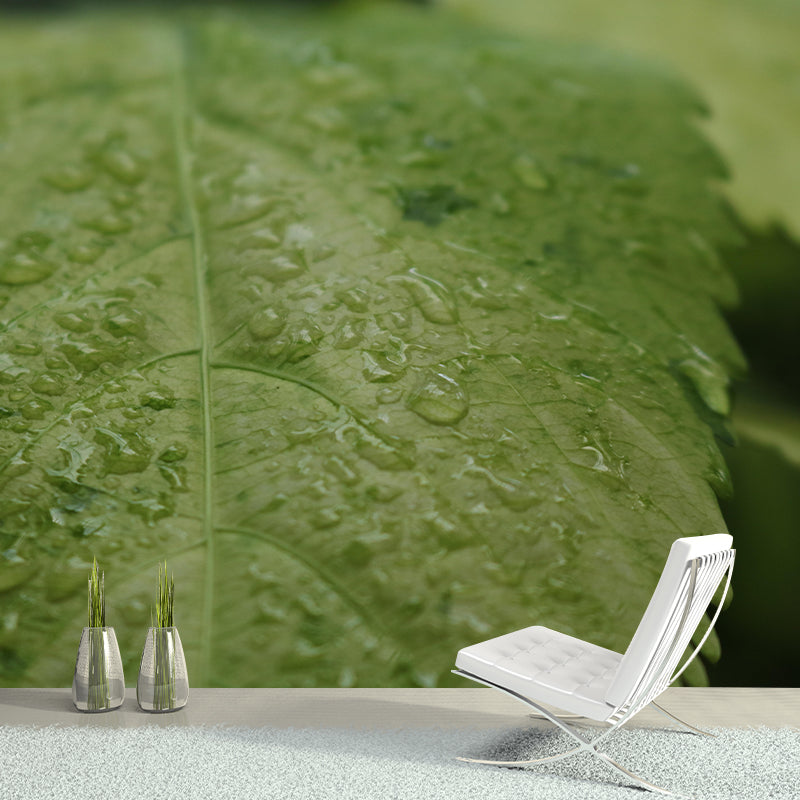 Plant Mural Wallpaper Leaf Surface Pattern for Reading Room Bedroom Decor