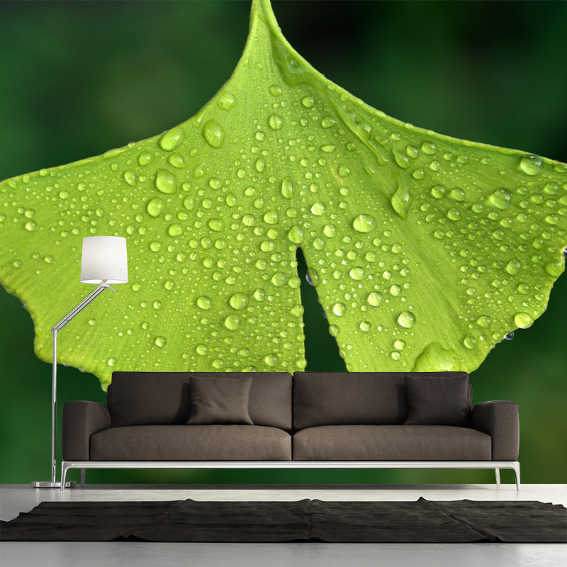Plant Mural Wallpaper Ginkgo Leaf Pattern for Reading Room Bedroom Home Decor