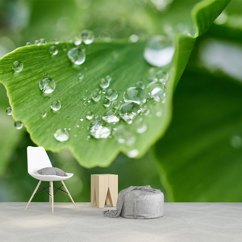 Plant Mural Wallpaper Ginkgo Leaf Pattern for Reading Room Bedroom Home Decor