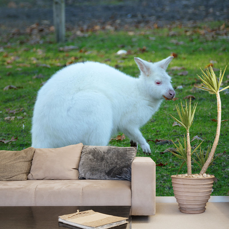 Kangaroo Contemporary Mural Decal Sitting Room Moisture Resistant Wall Decor