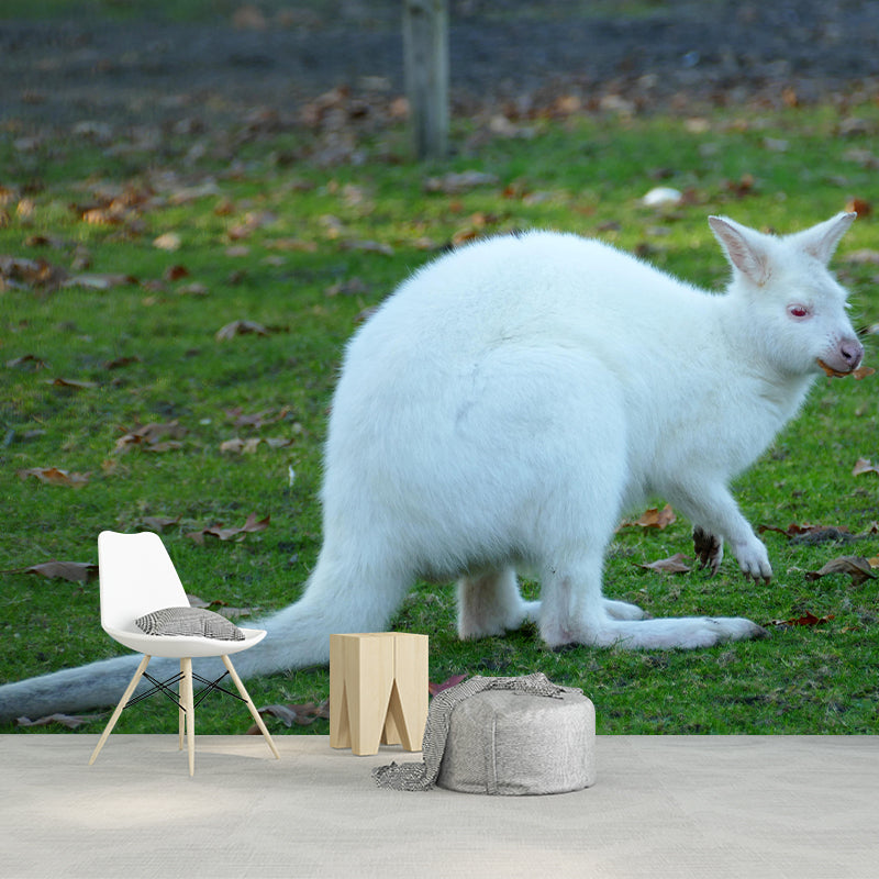 Kangaroo Contemporary Mural Decal Sitting Room Moisture Resistant Wall Decor