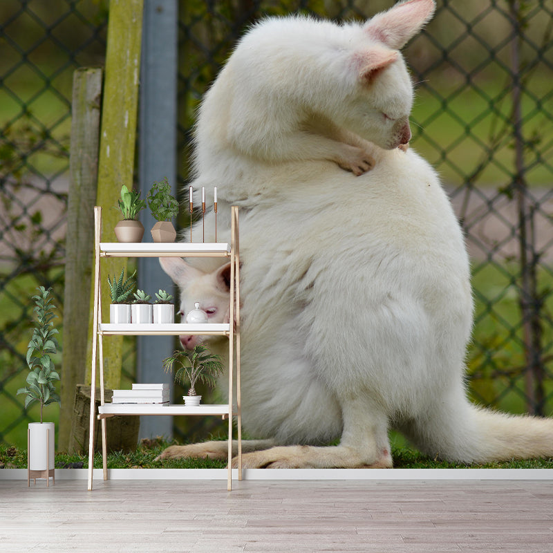 Kangaroo Contemporary Mural Decal Sitting Room Moisture Resistant Wall Decor