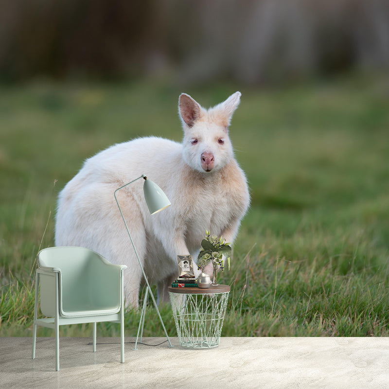 Kangaroo Contemporary Mural Decal Sitting Room Moisture Resistant Wall Decor