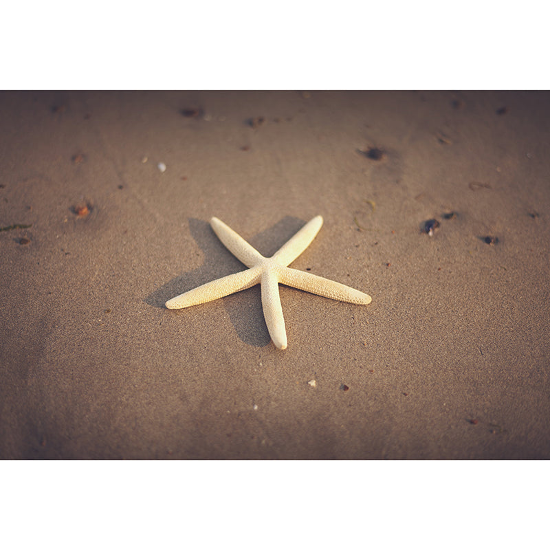 Customized Contemporary Starfish Mural Mildew Resistant for Sitting Room Bedroom