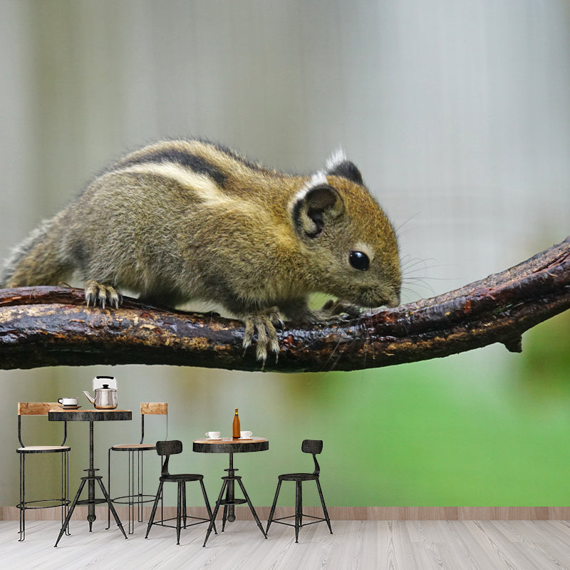 Chipmunk Contemporary Mural Decal Sitting Room Moisture Resistant Wall Decor