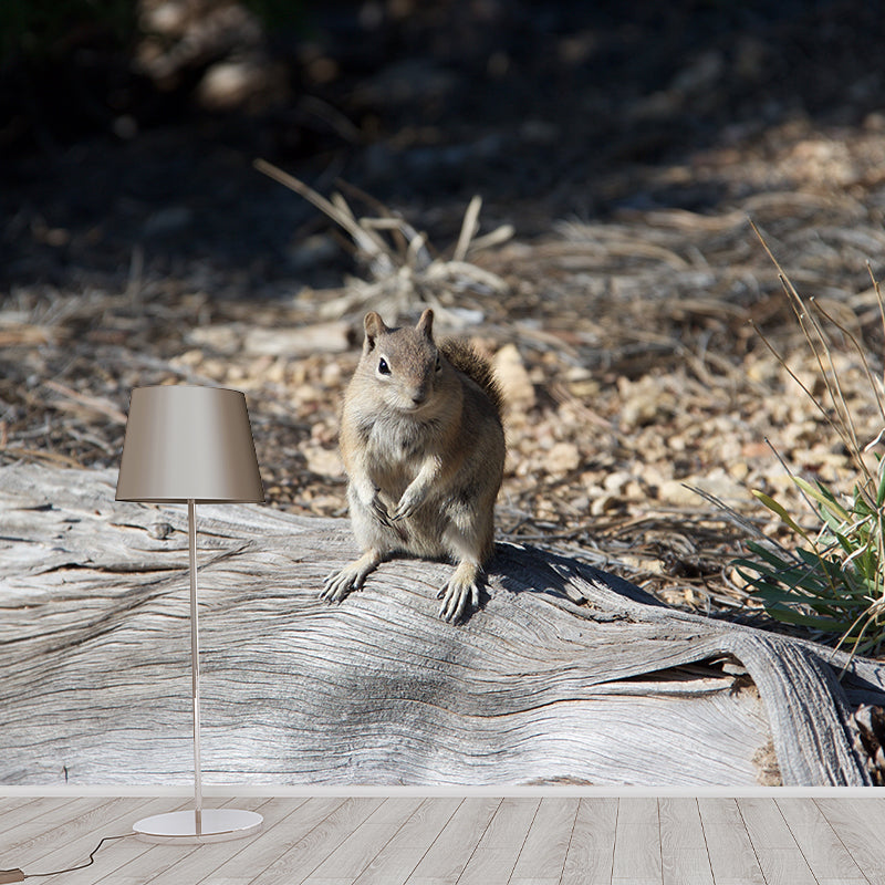 Chipmunk Contemporary Mural Decal Sitting Room Moisture Resistant Wall Decor