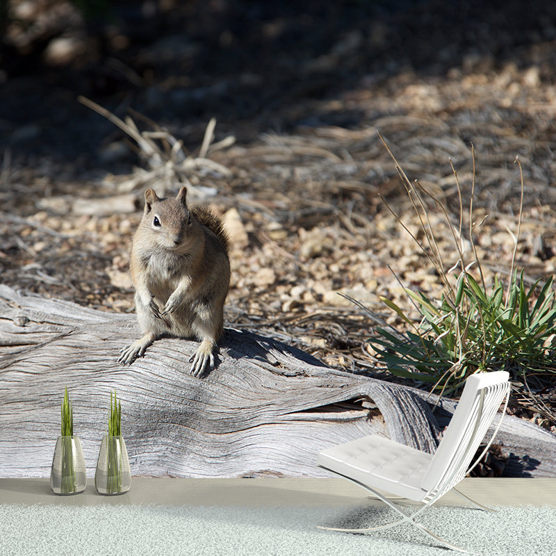 Chipmunk Contemporary Mural Decal Sitting Room Moisture Resistant Wall Decor