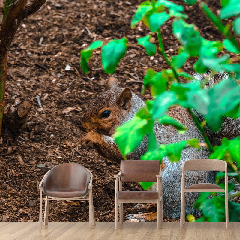 Chipmunk Contemporary Mural Decal Sitting Room Moisture Resistant Wall Decor