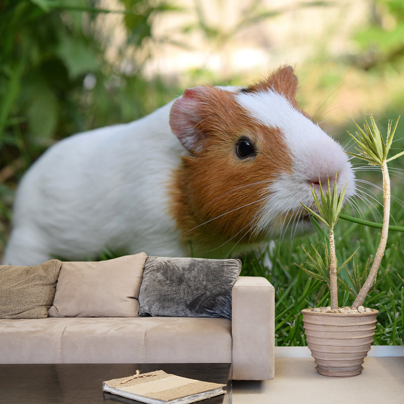 Customized Contemporary Guinea-Pig Mural Mildew Resistant for Sitting Room Bedroom