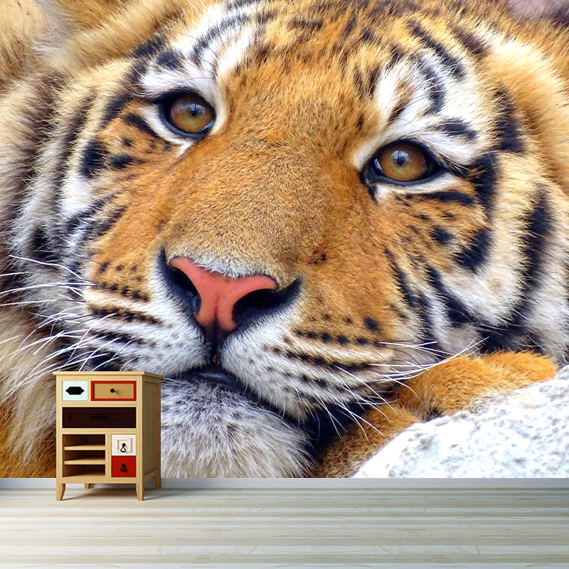 Contemporary Tiger Face Close-up Mural Decal Sitting Room Moisture Resistant Wall Decor