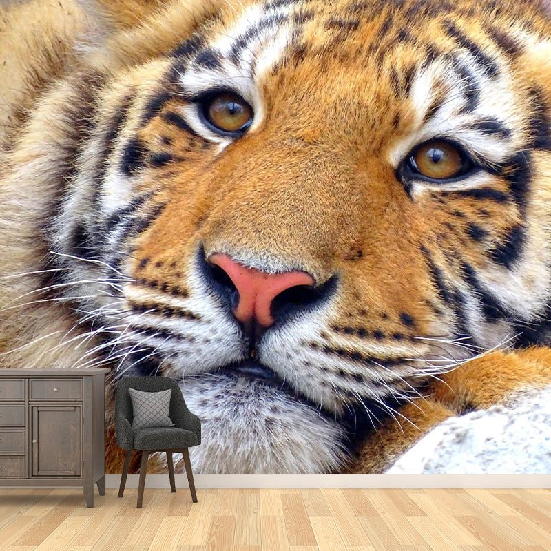 Contemporary Tiger Face Close-up Mural Decal Sitting Room Moisture Resistant Wall Decor