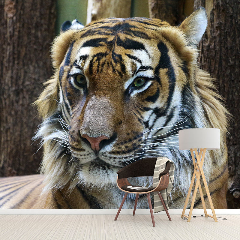 Contemporary Tiger Face Close-up Mural Decal Sitting Room Moisture Resistant Wall Decor