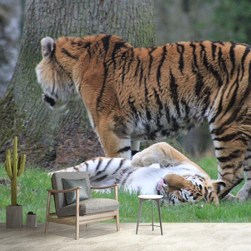 Tiger Contemporary Mural Decal Sitting Room Moisture Resistant Wall Decor