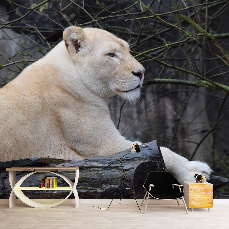 Customized Contemporary Lioness Mural Mildew Resistant for Sitting Room Bedroom