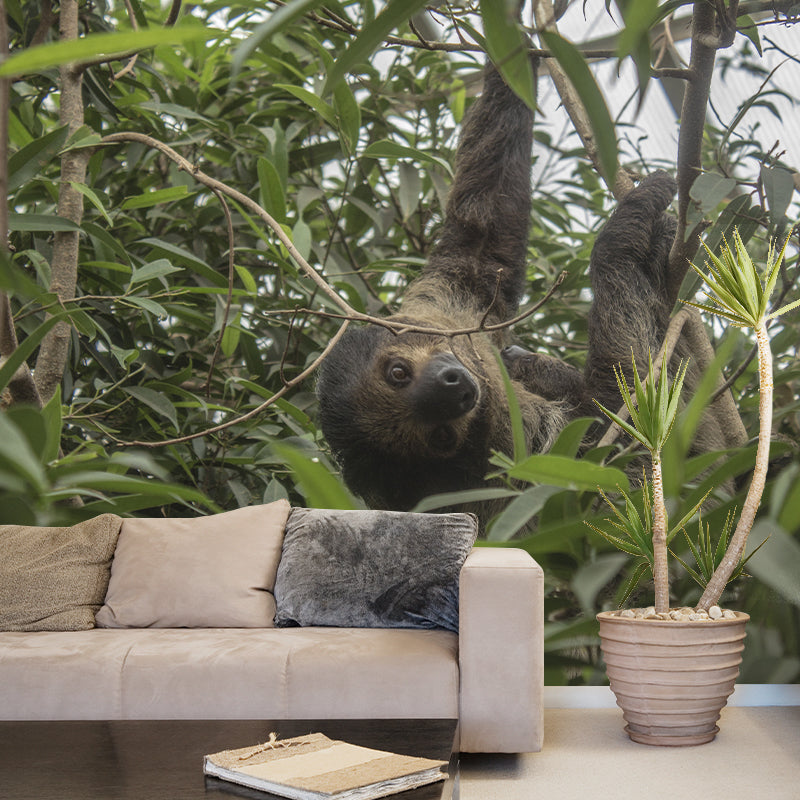 Customized Contemporary Sloth Mural Mildew Resistant for Sitting Room Bedroom