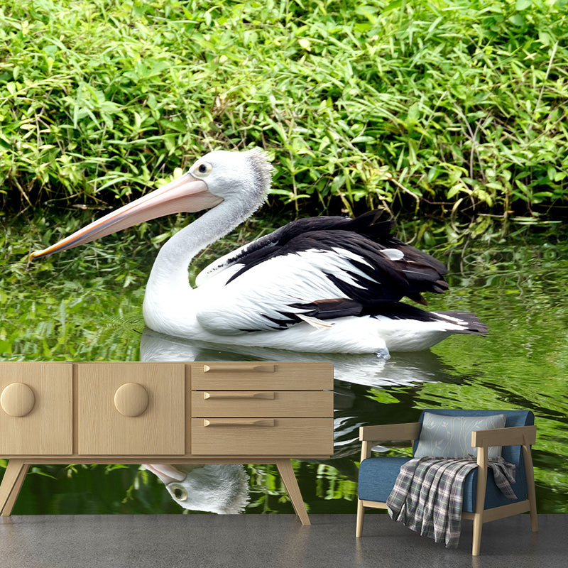 Customized Contemporary Pelican Mural Mildew Resistant for Sitting Room Bedroom