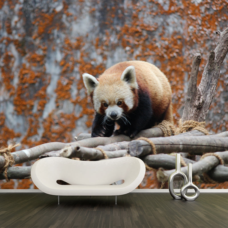 Customized Contemporary Red Panda Mural Mildew Resistant for Sitting Room Bedroom