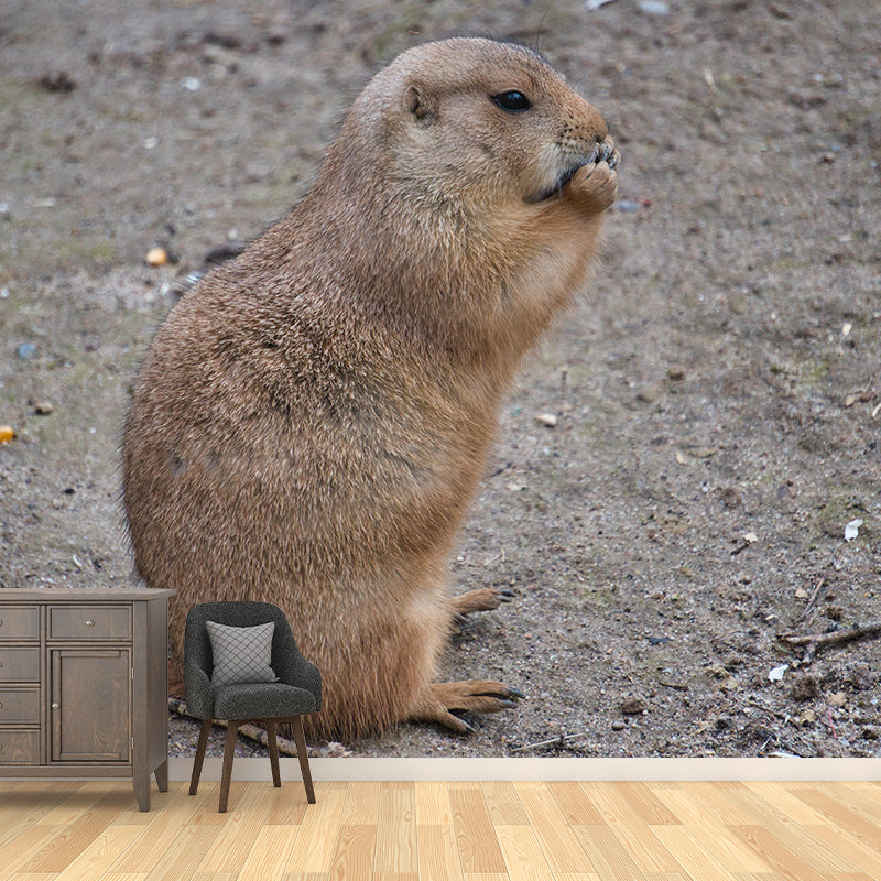 Customized Contemporary Prairie-Dog Mural Mildew Resistant for Sitting Room Bedroom