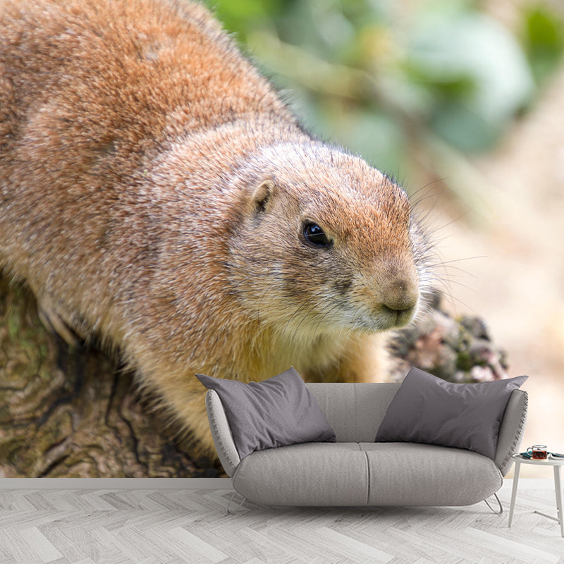 Customized Contemporary Prairie-Dog Mural Mildew Resistant for Sitting Room Bedroom