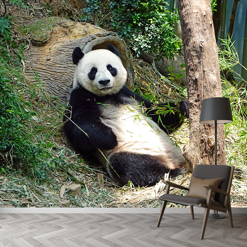 Panda Contemporary Mural Decal Sitting Room Moisture Resistant Wall Decor