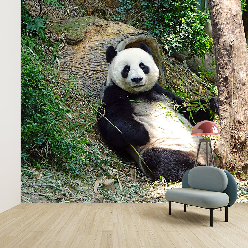 Panda Contemporary Mural Decal Sitting Room Moisture Resistant Wall Decor