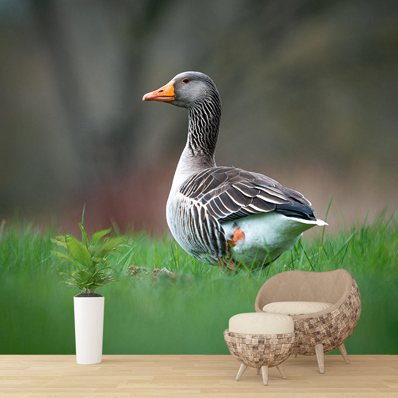 Customized Contemporary Duck Mural Mildew Resistant for Sitting Room Bedroom