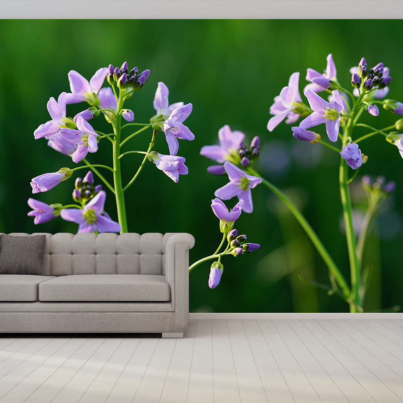 Customized Contemporary Scumwort Mural Mildew Resistant for Sitting Room Bedroom