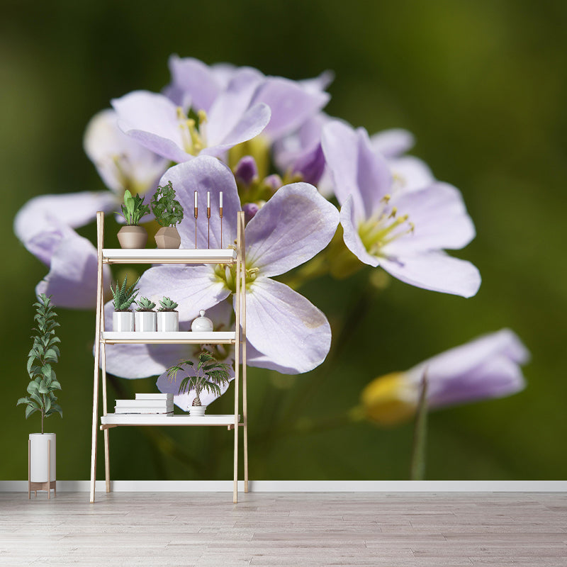 Customized Contemporary Scumwort Mural Mildew Resistant for Sitting Room Bedroom