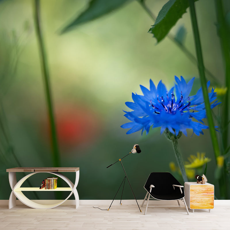Customized Contemporary Cornflower Mural Mildew Resistant for Sitting Room Bedroom