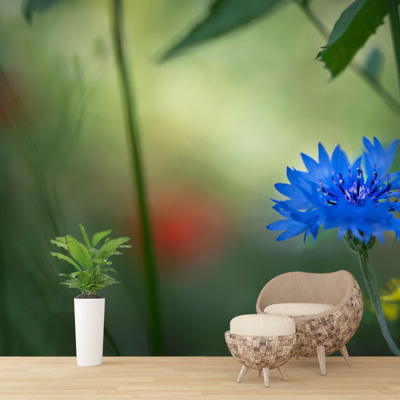 Customized Contemporary Cornflower Mural Mildew Resistant for Sitting Room Bedroom