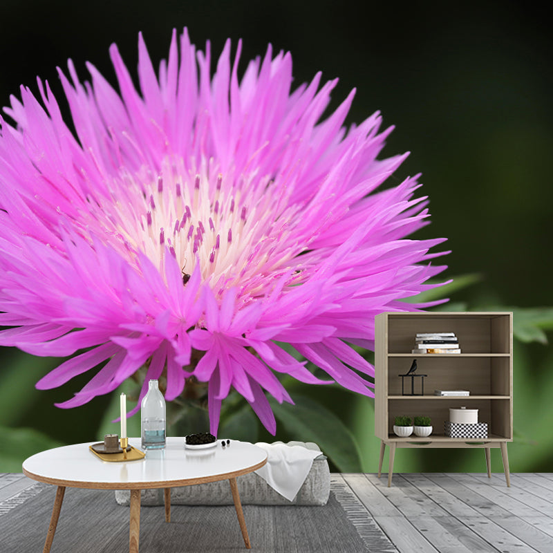 Customized Contemporary Cornflower Mural Mildew Resistant for Sitting Room Bedroom