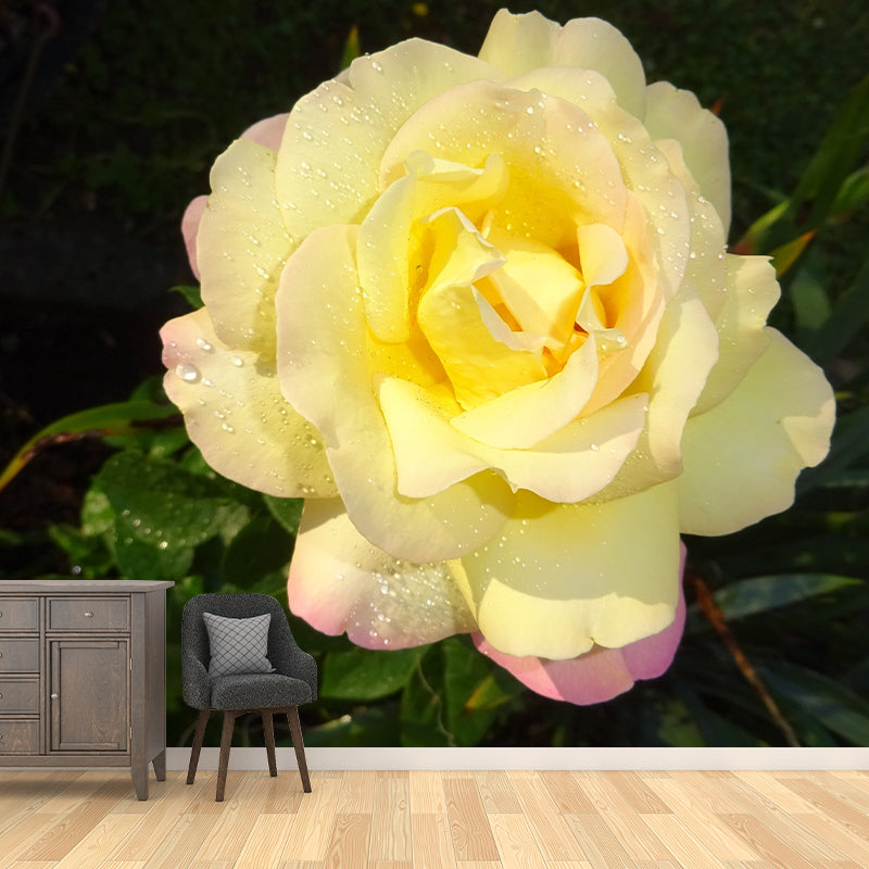 Rose Contemporary Mural Decal Sitting Room Moisture Resistant Wall Decor