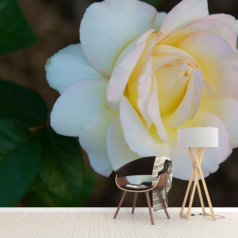 Rose Contemporary Mural Decal Sitting Room Moisture Resistant Wall Decor