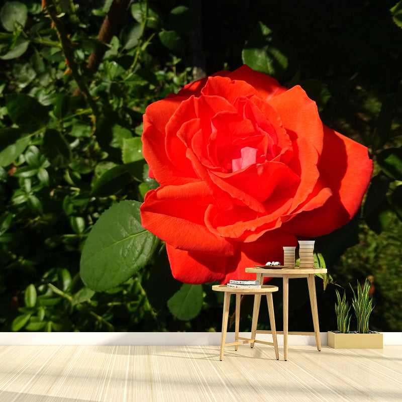 Rose Contemporary Mural Decal Sitting Room Moisture Resistant Wall Decor