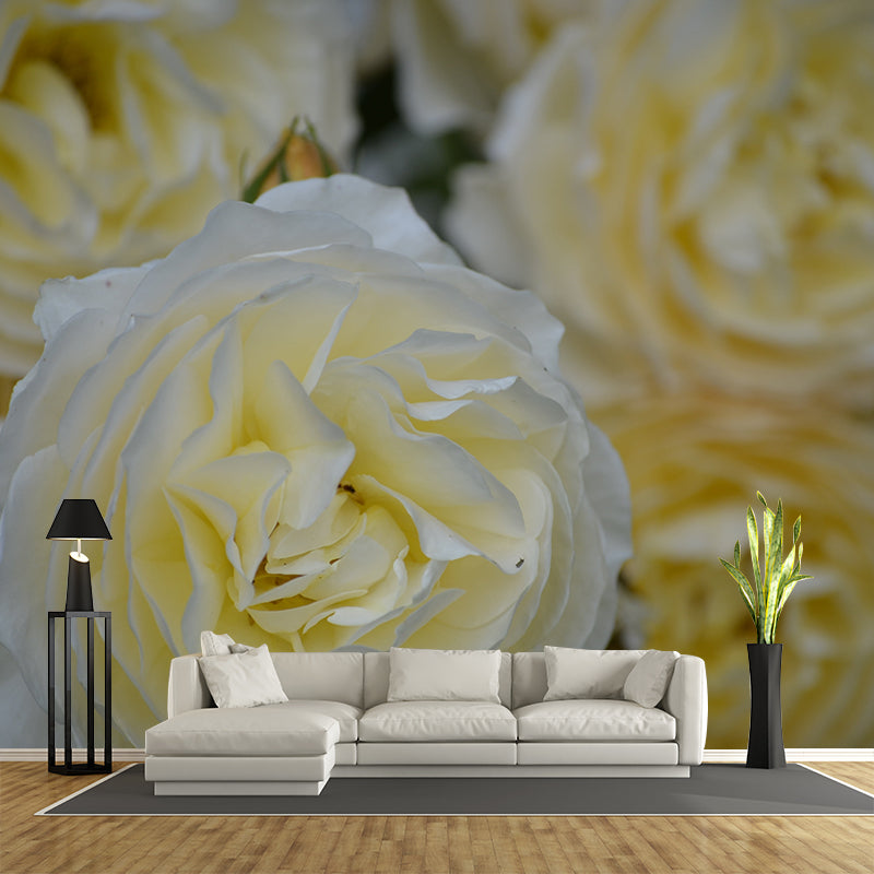 Roses Contemporary Mural Decal Sitting Room Moisture Resistant Wall Decor