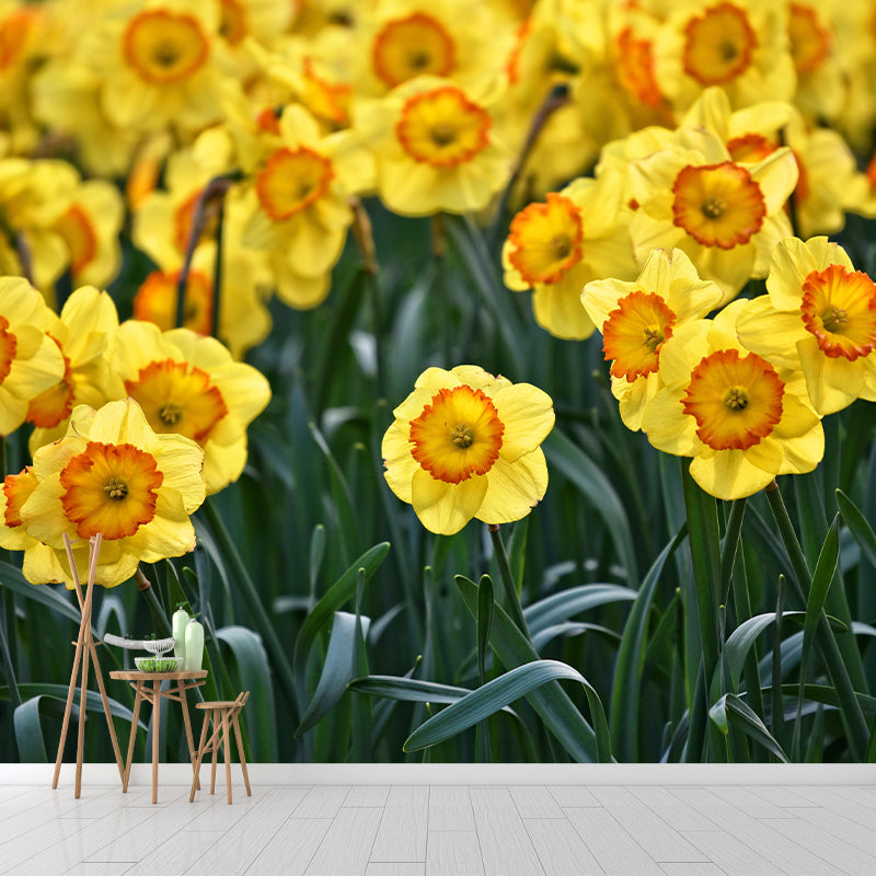 Customized Contemporary Daffodil Mural Mildew Resistant for Sitting Room Bedroom
