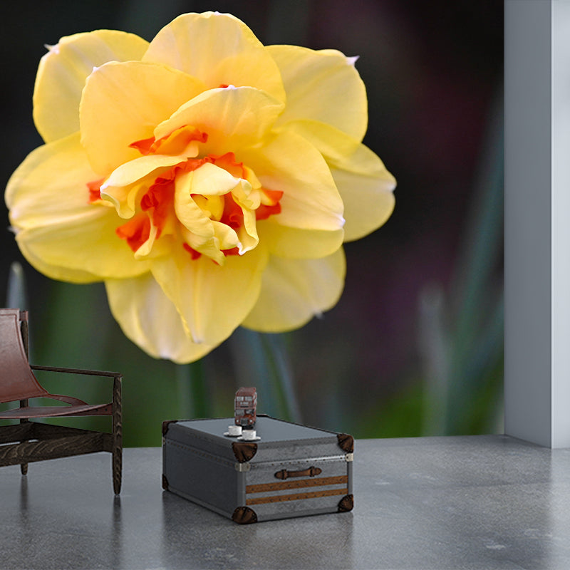 Customized Contemporary Daffodil Mural Mildew Resistant for Sitting Room Bedroom