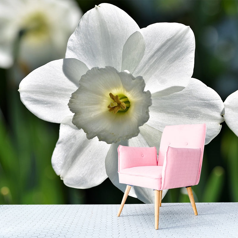 Customized Contemporary Daffodil Mural Mildew Resistant for Sitting Room Bedroom