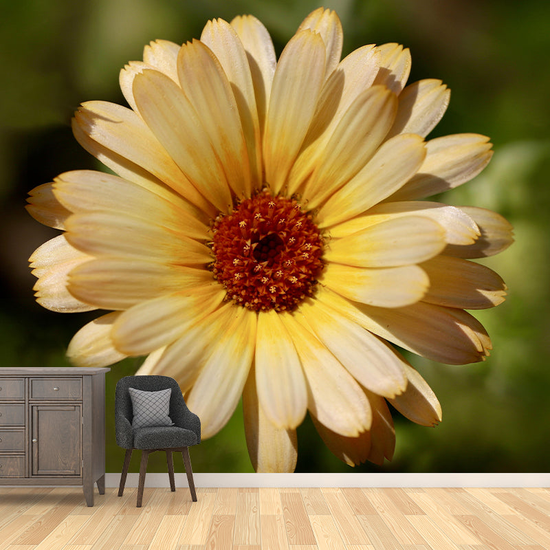 Customized Contemporary Marigold Mural Mildew Resistant for Sitting Room Bedroom