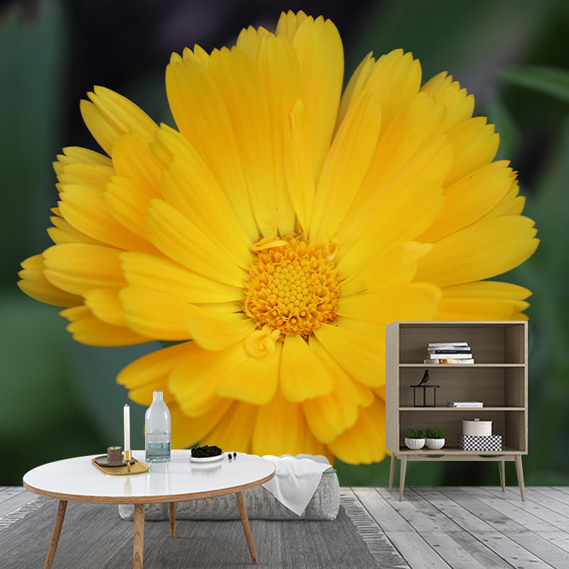 Customized Contemporary Marigold Mural Mildew Resistant for Sitting Room Bedroom