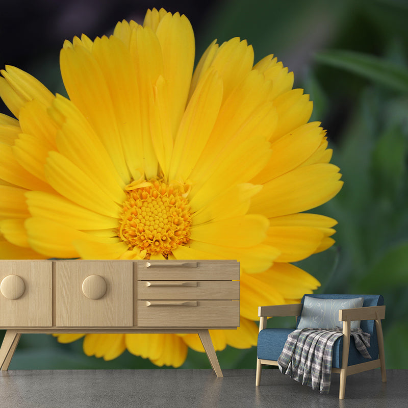 Customized Contemporary Marigold Mural Mildew Resistant for Sitting Room Bedroom