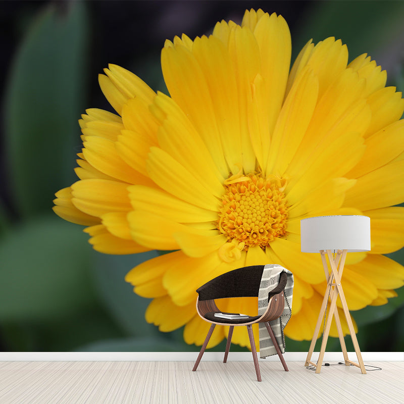 Customized Contemporary Marigold Mural Mildew Resistant for Sitting Room Bedroom