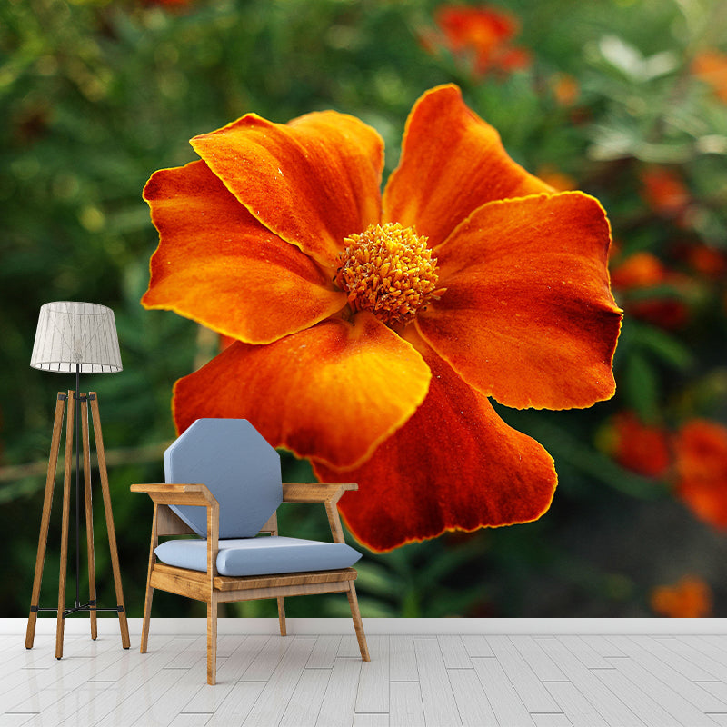 Customized Contemporary Marigold Mural Mildew Resistant for Sitting Room Bedroom